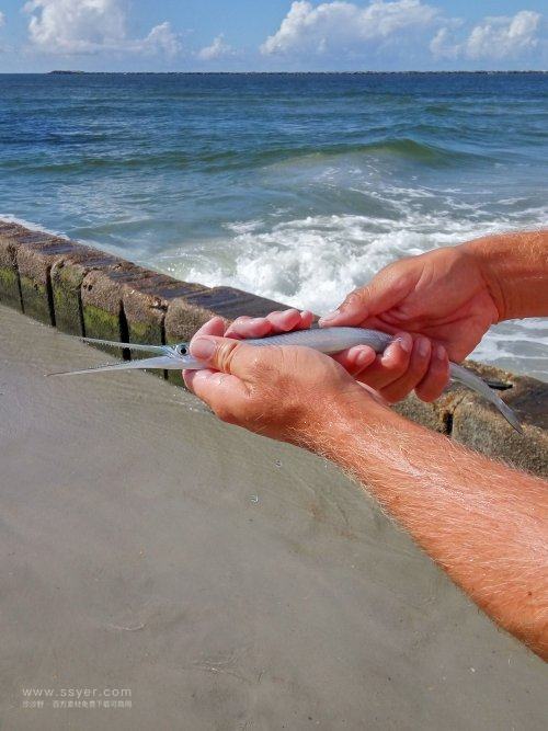 用水文監(jiān)測(cè)站助力鱔魚(yú)養(yǎng)殖